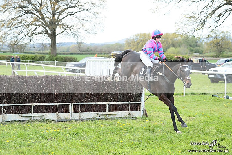 PtP 180426 108 - Worcestershire Hunt PtP Chaddesley Corbett 18/04/26
