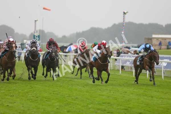 140723-Race 6-Copper Knight-8626 - Race 6 4.55pm Irish Thoroughbred Marketing Handicap