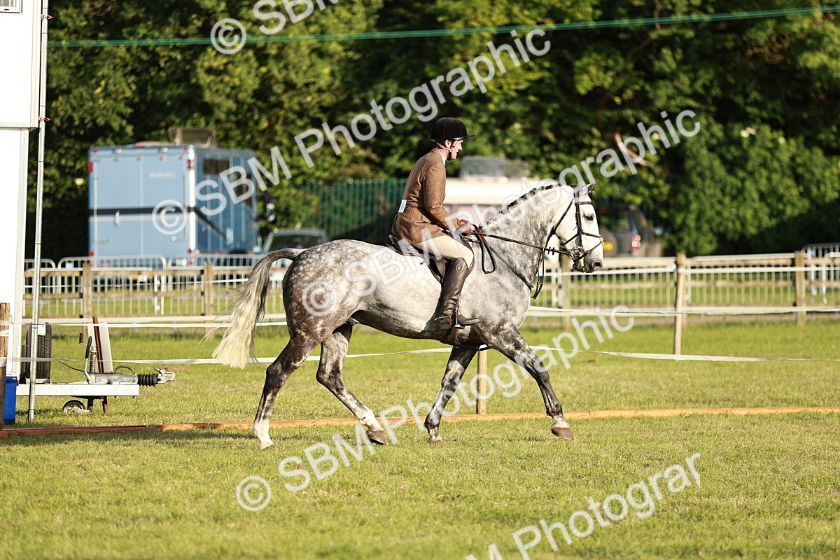 SBM_20431 - Class 117-119 - Sport Horse Working Hunter