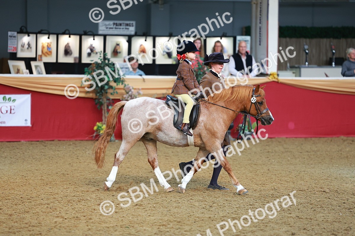 SBM_09532 - Class 102 - HOYS Veteran Qualifier - Ridden Veteran