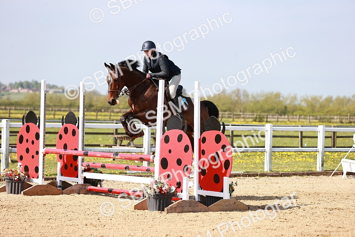  - Class 21 - Senior British Novice - 90cm