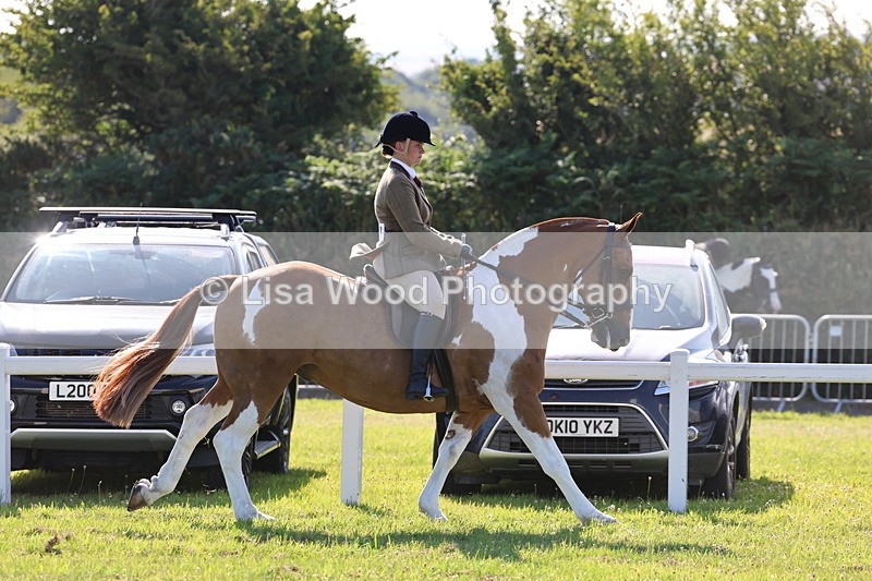 IMG_1435 - Class 29:  Ridden Native/Trad Coloured Horse
