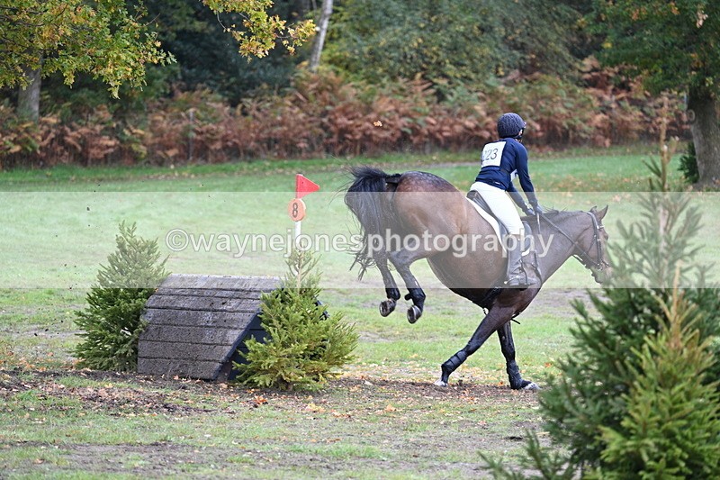 WJ7_4383 - Time 11:49 to 12:11