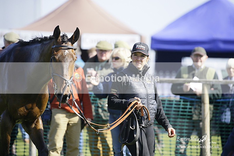 PtP 190322 253 - Wilton Hunt PtP Milborne St Andrew 19/03/22