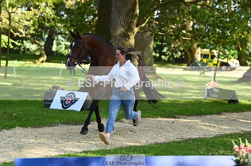 230524-162438-00853 - 101-INTERFIELDS_ABOUDDI-Saffron_Cresswell-WEDTrotUp+DR