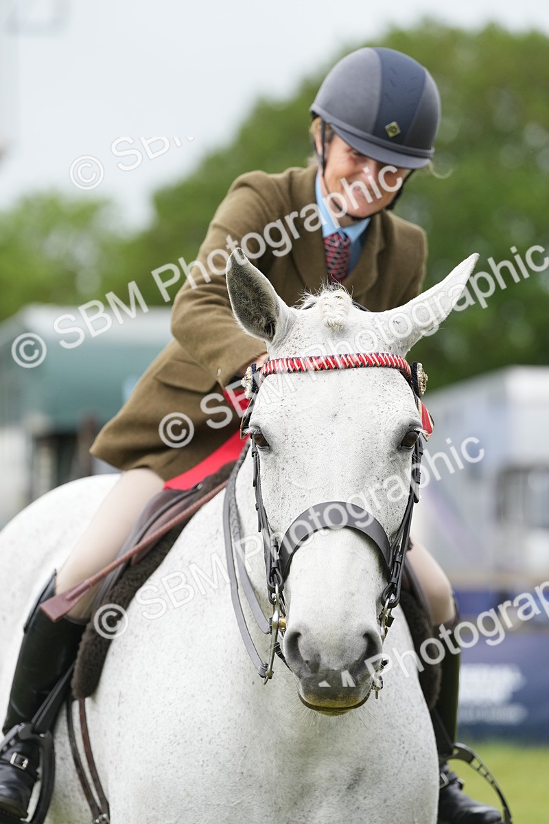 SBM_10654 - Class 97-98 - LIHS BSHA Rising Star Working Show Horse Hunter