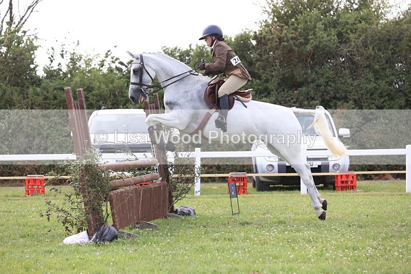 JPP_4165 - Class 25: Working Show Horse