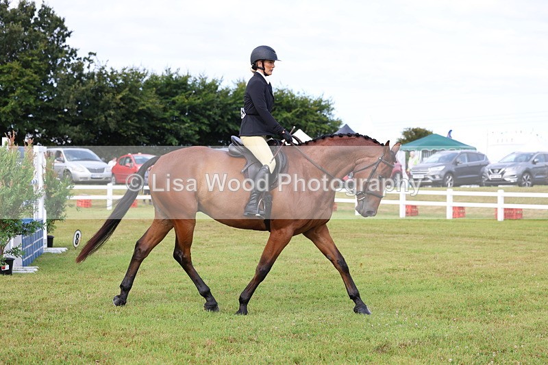 3E7A8131 - Class 2: Rising Star Large Hack/Riding Horse