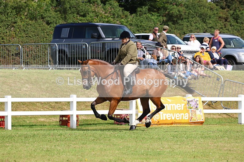 3E7A9439 - Class 4: Rising Star M/H Hunter