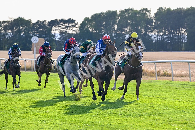 140826-Race 3-Equity Law-1127 - Race 3 18.43pm Heineken 0% Handicap