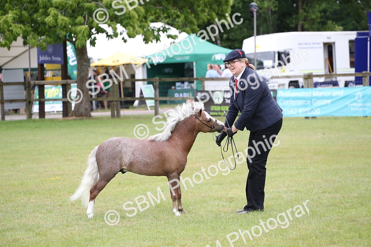 SBM_03812 - Class 23-25 - British Miniature Horse of the Year