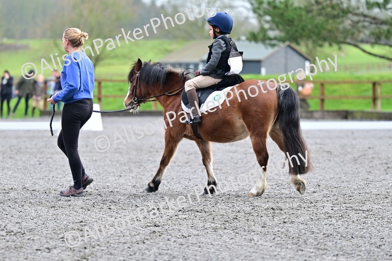 20260125-0963 - Class 9a - Walk Trot Assisted