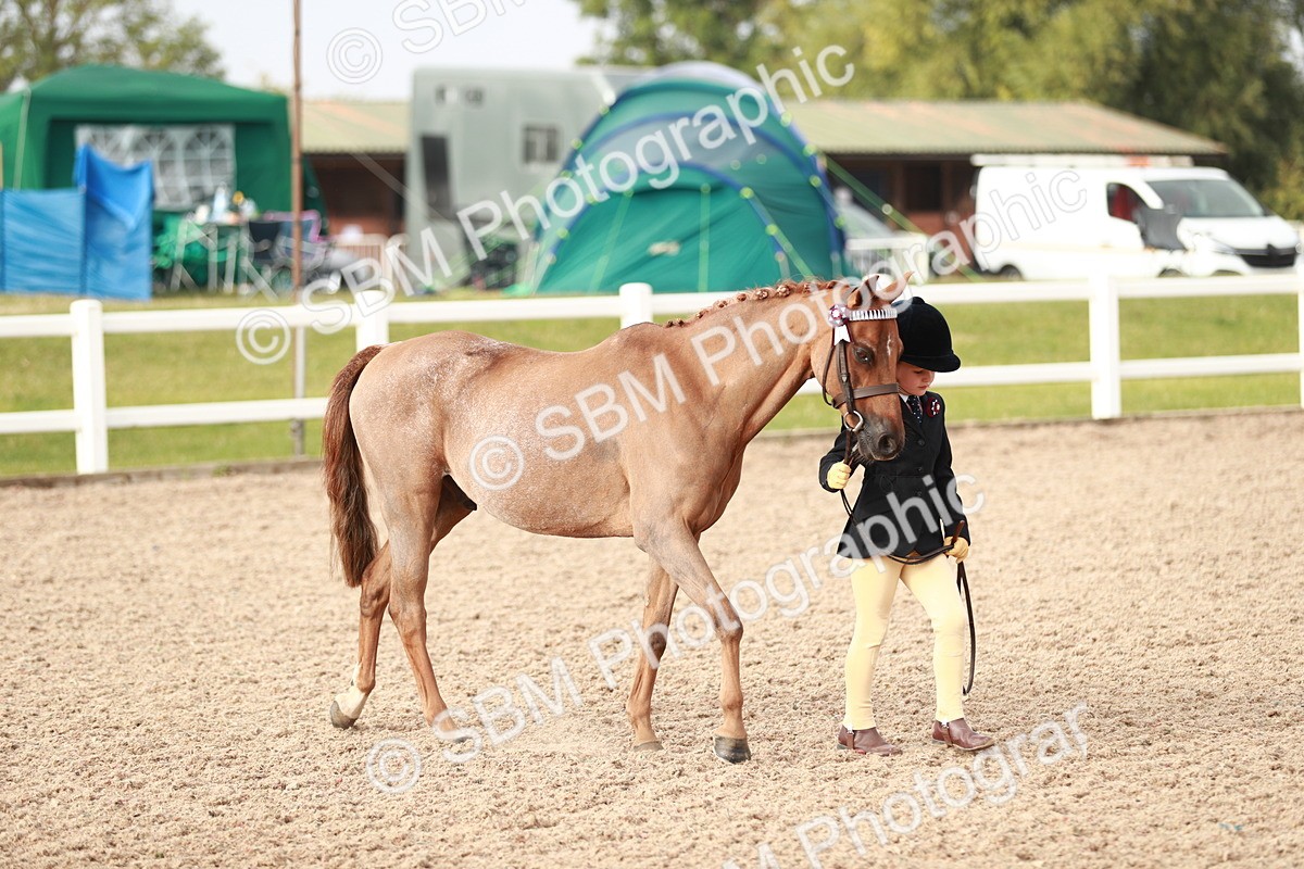 SBM_09844 - Class 203 Young Handler, 10 years and under