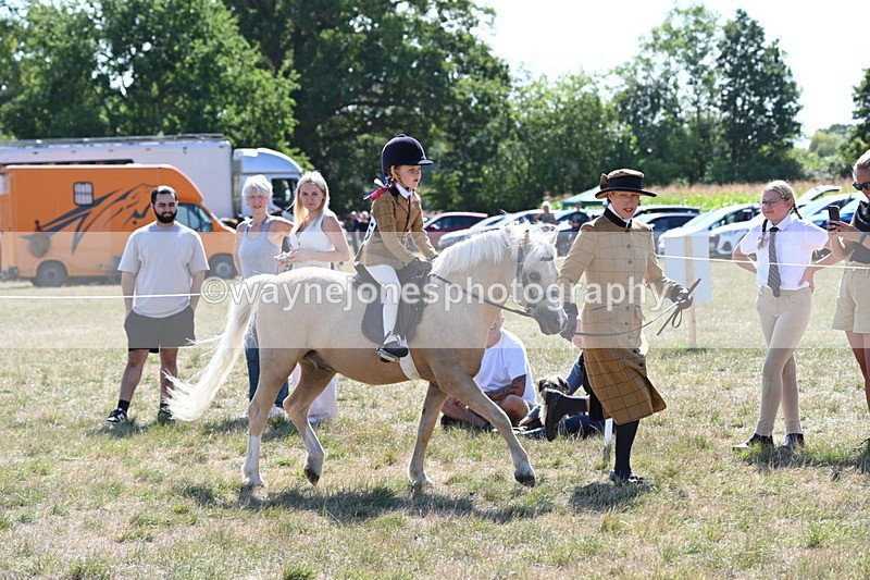 WJ6_7754 - Class 36 Lead Rein