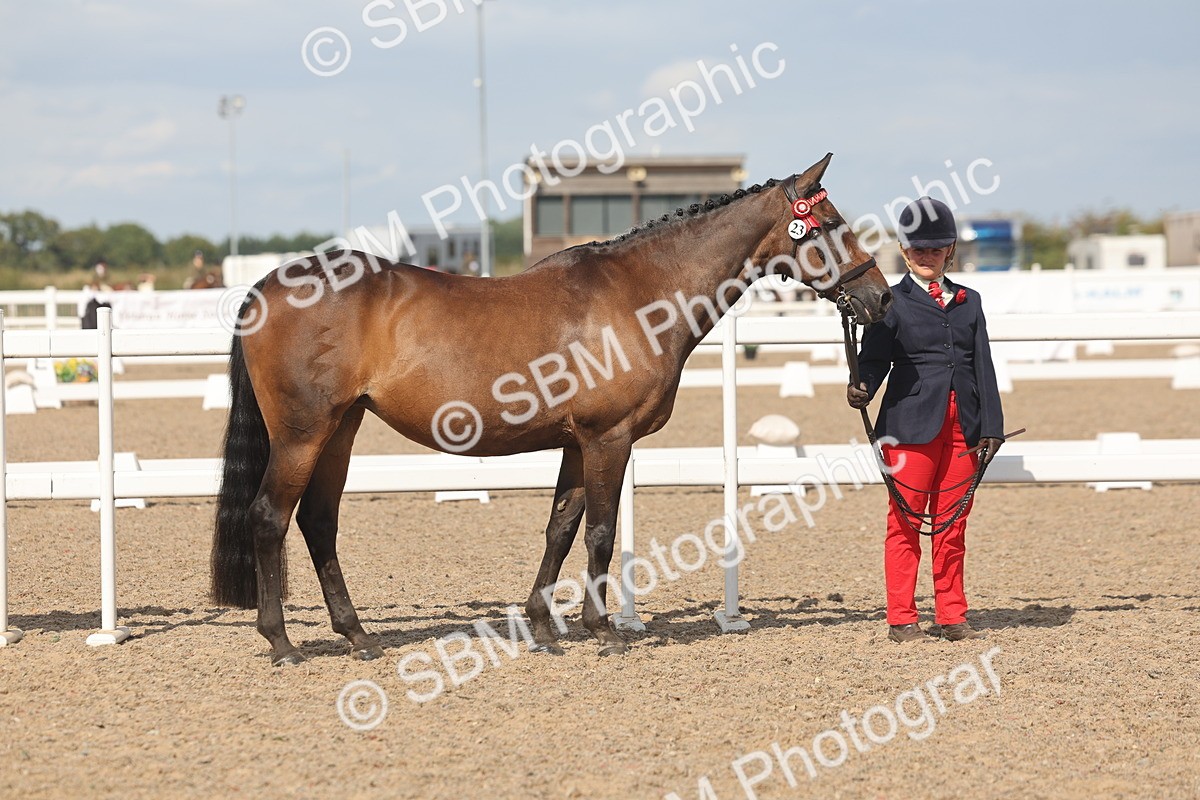 SBM_06831 - Class 25 - IH Foreign Breeds - Purebred
