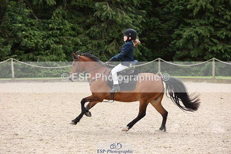 240616-104412-03147 - 60cm