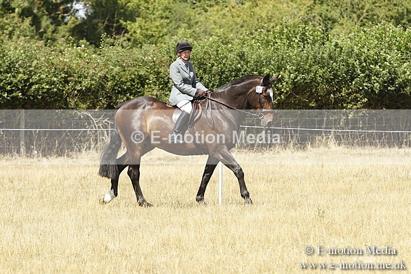 _BS_0706 - BVRC Show 2018 Ring 1