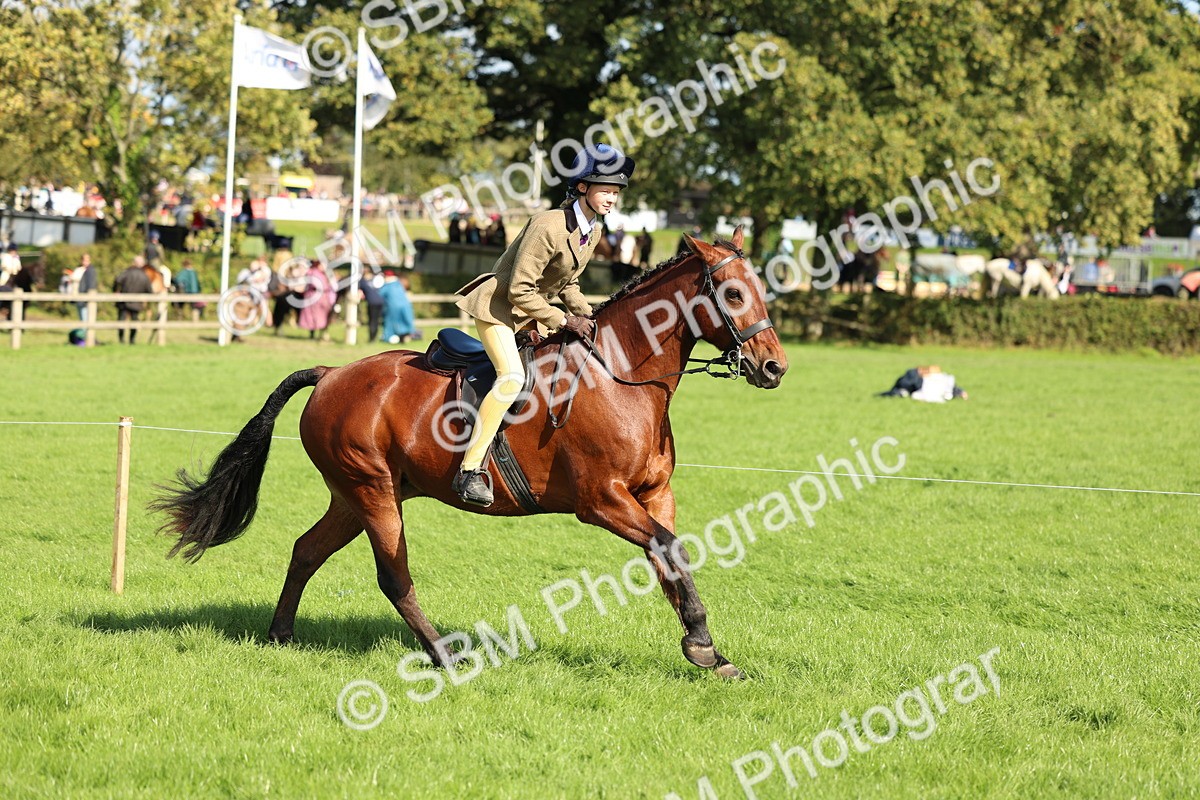 SBM_45500 - S33 - Working Hunter Pony