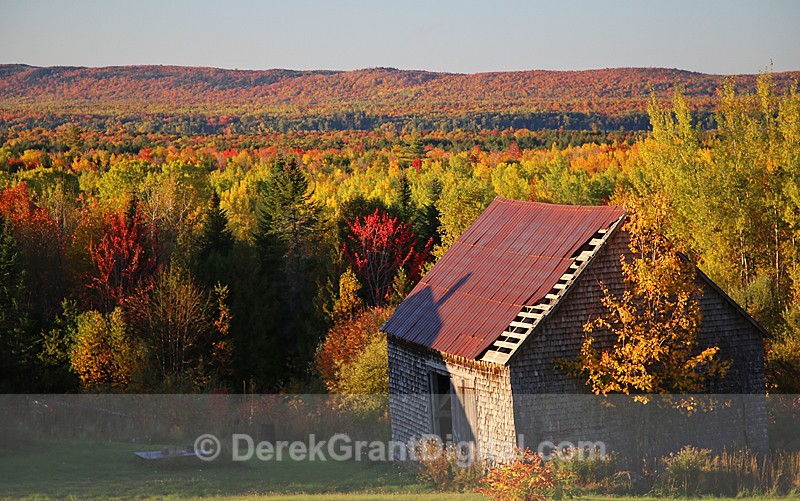Autumn Foliage New Brunswick Old Barns of Canada - Old Barns & Buildings
