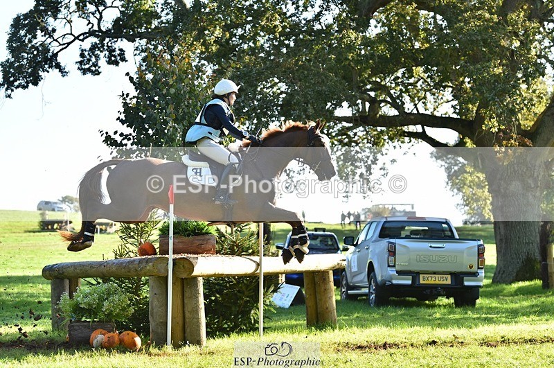 231022-103328-25352 - 213-MGH.HILDARE.HARLEQUIN-Danielle.Mccormack-XC