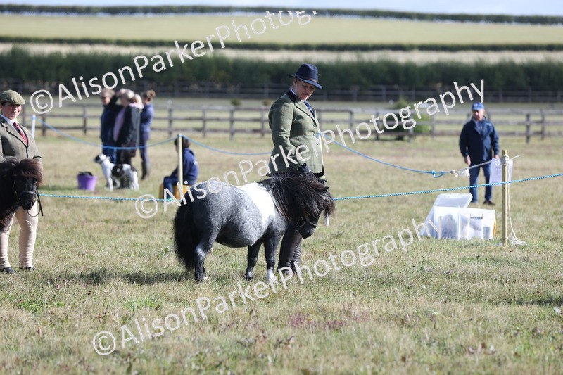 20250831-1338 - Class 21 - Inhand Open