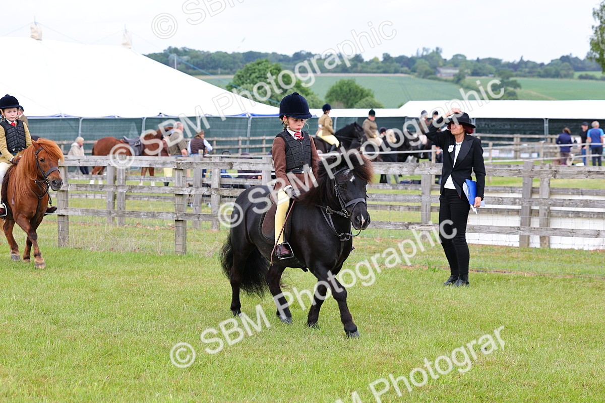 SBM_08562 - Class 42-43 - LIHS BSPS Heritage Working Sports Pony