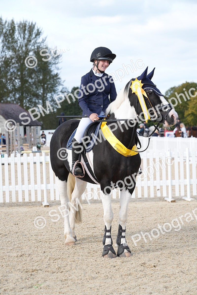 SBM_48874 - J22 - Junior Horse 65cm Championship