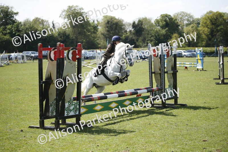 20250427-2337 - Class 13 - Novice Jumping 60cm