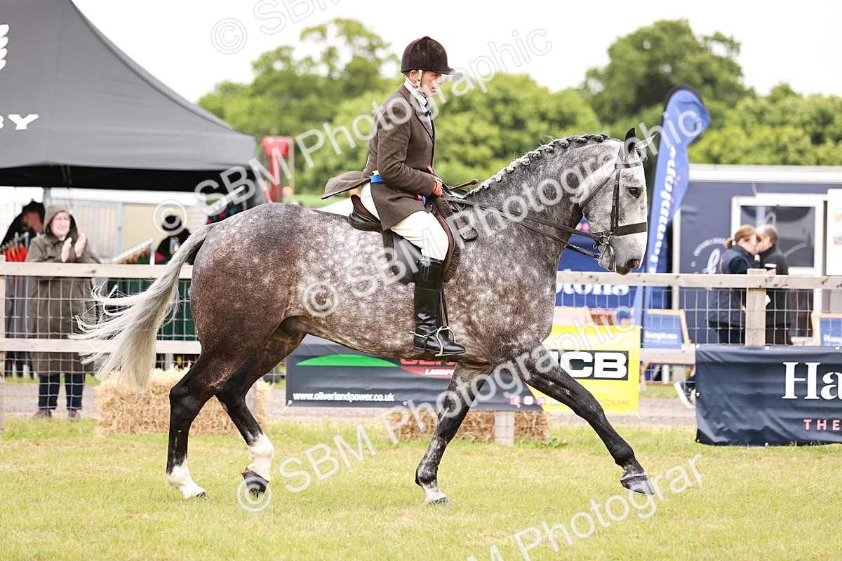SBM_10951 - Class 81-84 - RIHS Ridden hunters Inc Ladies Hunter