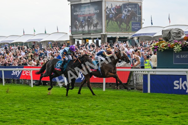 230825-Race 7-Dain Ma Nut In-0931 - Race 7 5.20pm Sky Bet Steve Birch Finale Handicap