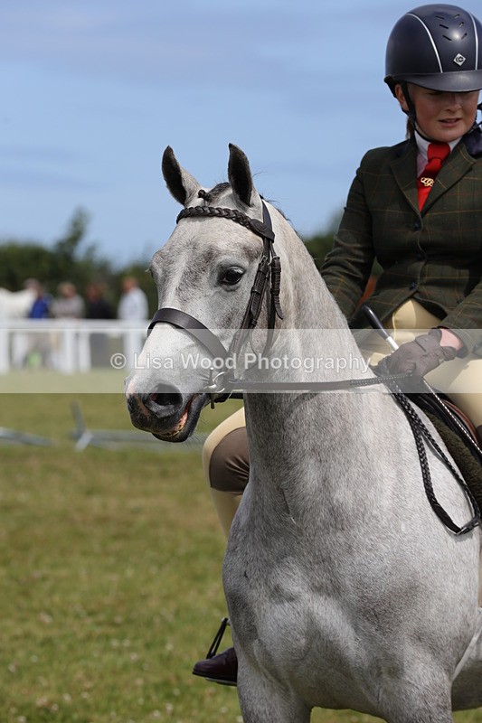 1X9A4025 - Class 32: Show Hunter Pony 153cm and under