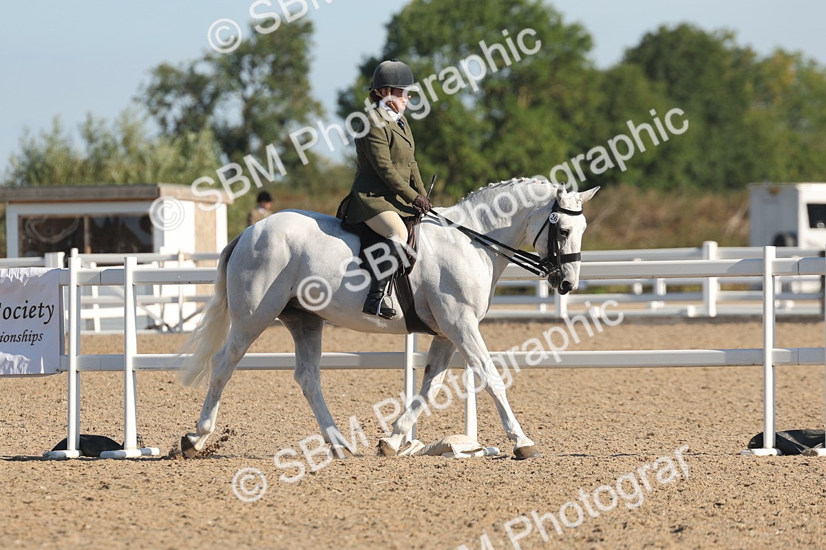 SBM_12204 - Class 303 - Ridden Pure Bred Horse Pony