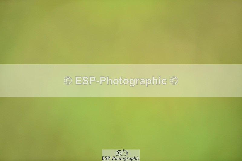 240523B-102646-01776 - 4 Year Old