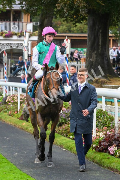 080924-Race 1-Windlord-8856 - Race 1 1.40pm British European Breeders Fund Novice Stakes