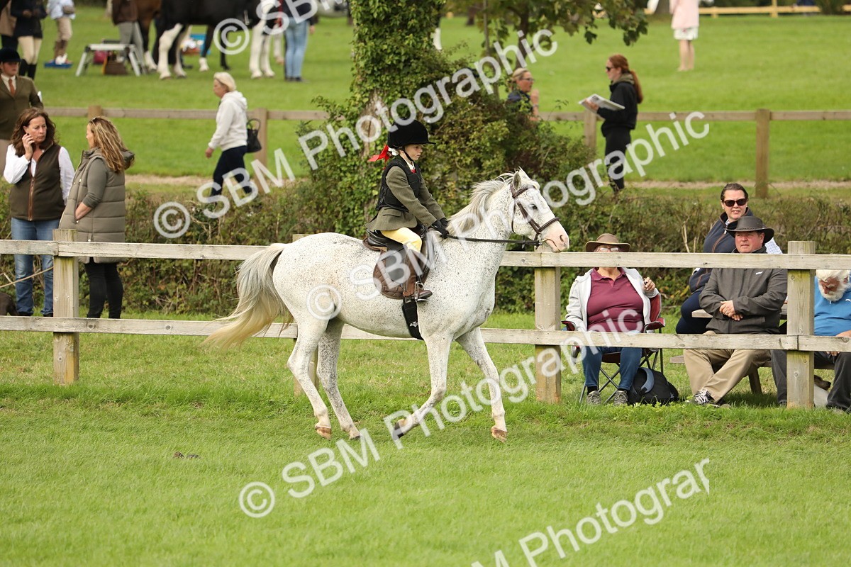 SBM_71607 - S41 - Ridden Equitation (Best Rider)