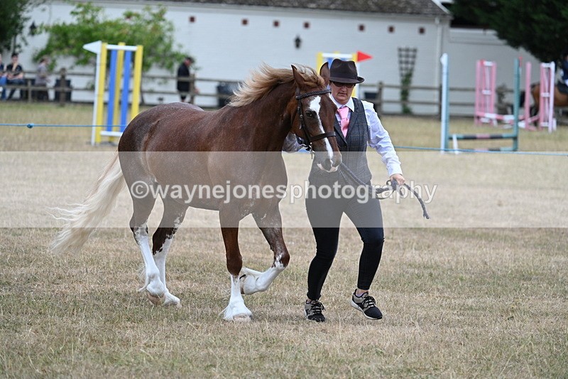 WJ7_8239 - Class 4 Prettiest Mare up to 14.2hh