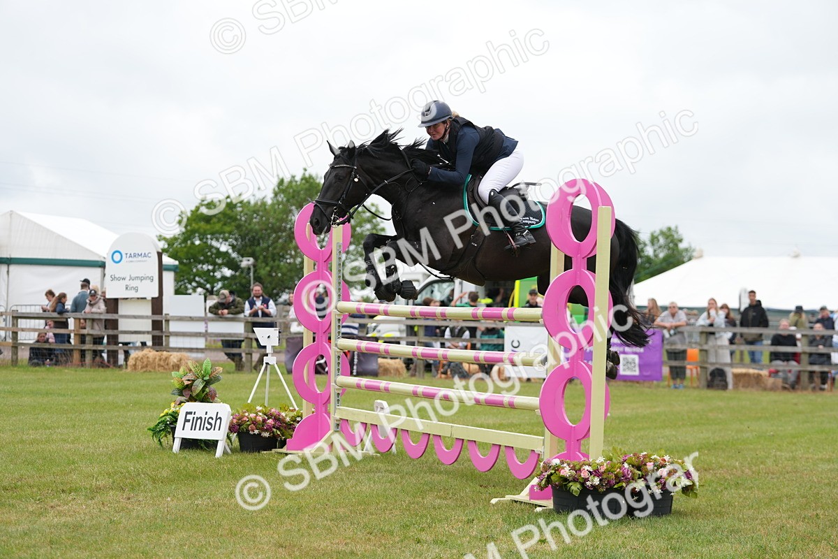 SBM_05248 - Class 201 - British Horse Feeds Speedi Beet Horse of the Year Show Grade  C