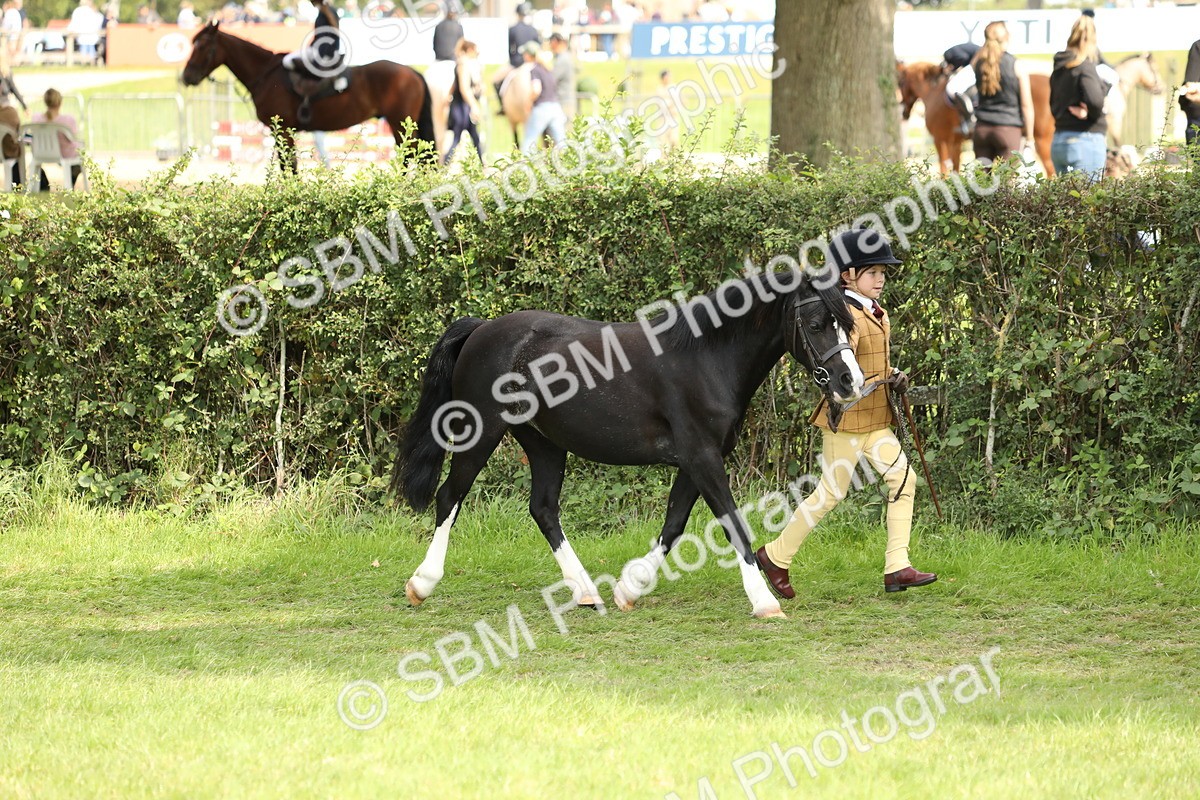 SBM_67734 - S39 - Junior Handler 8  Years & Under