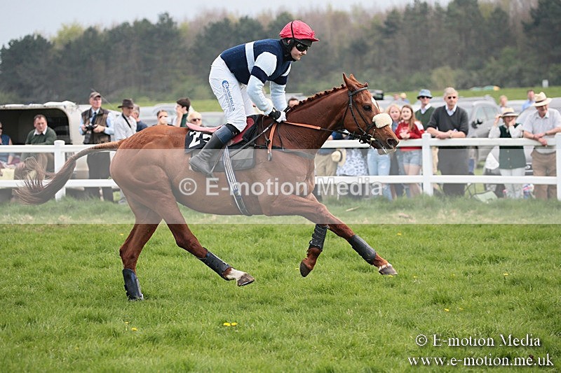 PtP 210418 354 - South & West Wilts Point-to-Point Larkhill 21/04/18