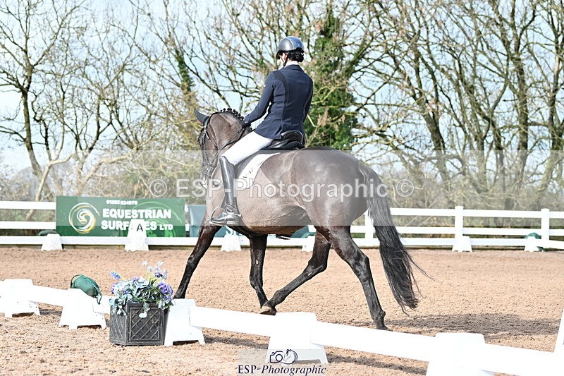 240218A-115604-06908 - 204-Elder.Klatzko-Dynasty.Hit