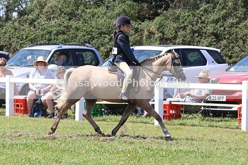 JPP_2395 - Class 20: Tiny Tots Working Hunter Pony