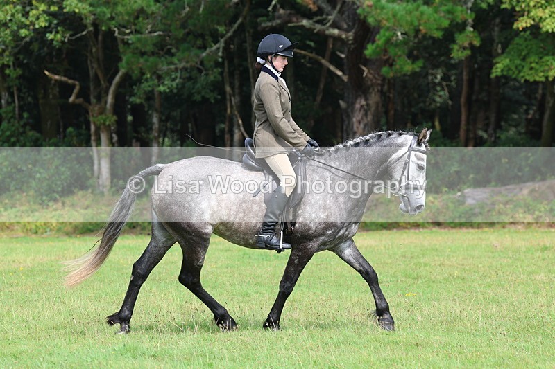 3E7A5983 - Class 28: 75cm Working Hunter