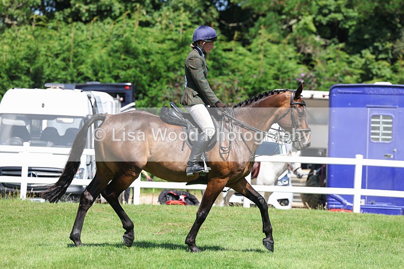 3E7A8946 - Class 6: Open Working Horse