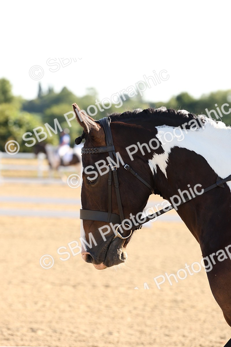 SBM_000027 - Intro 2 Warm Up