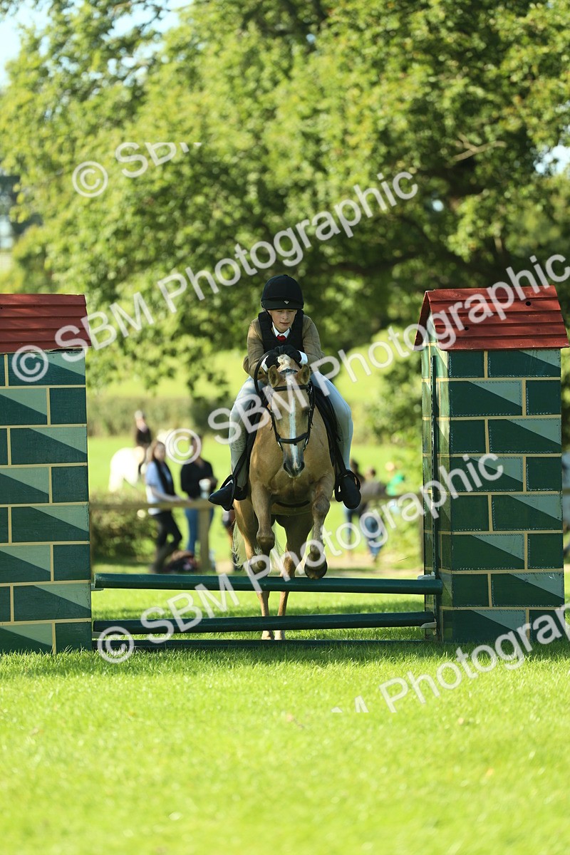 SBM_37487 - S29 - Novice & Newcomers Working Hunter Pony