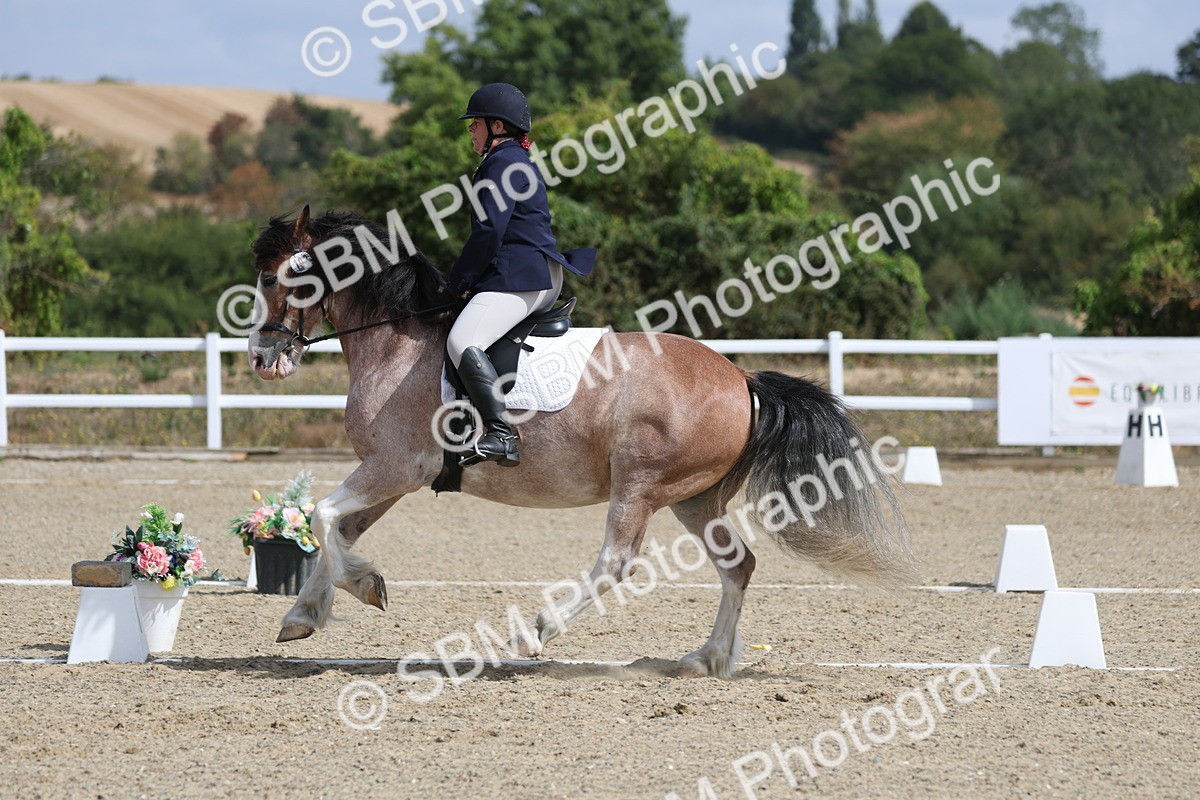 SBM_020928 - Class 21 - M5 Bronze 10.58.12.10
