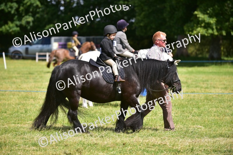 20260614-1157 - Class 11a - Lead Rein Pony (Unplaited)