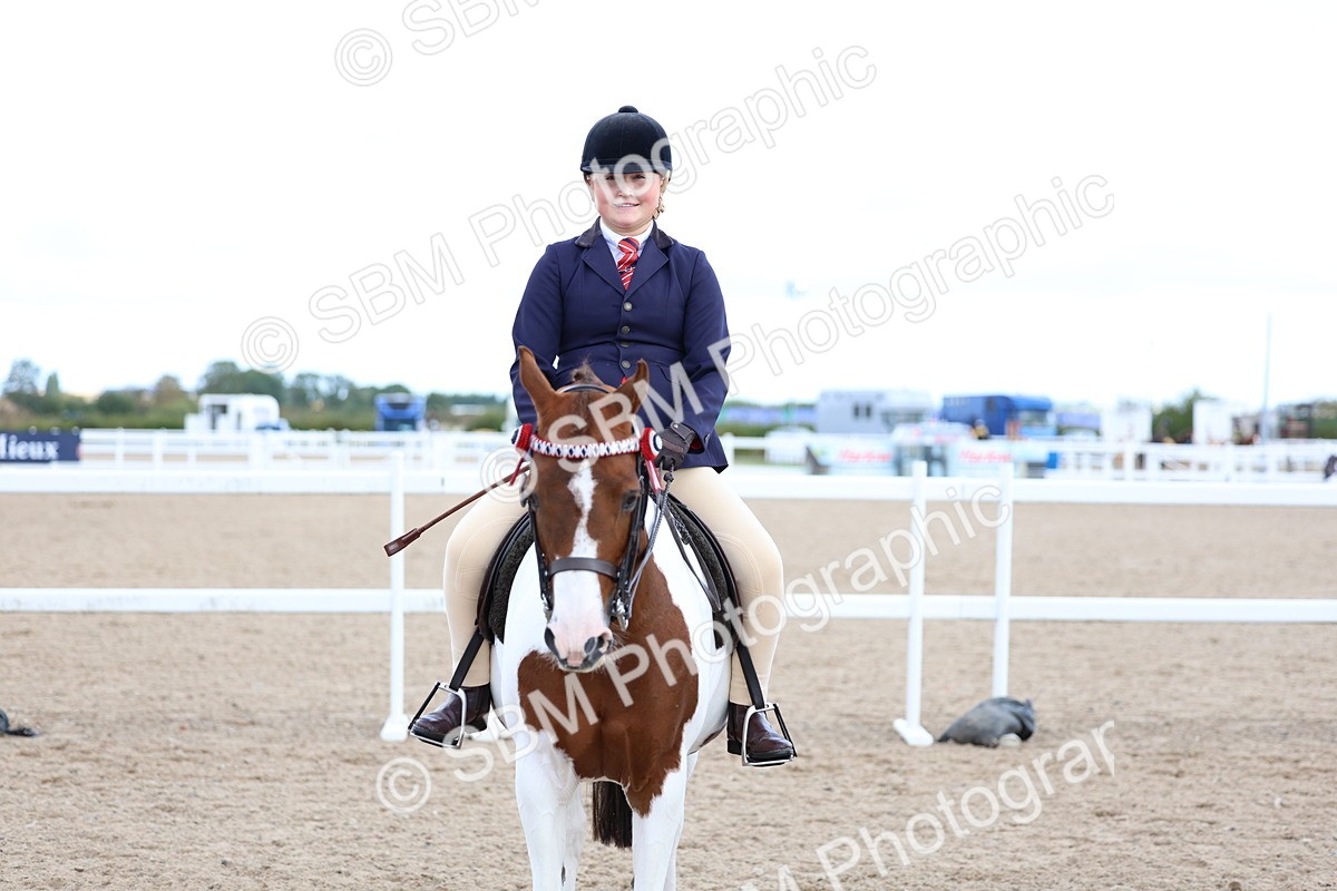 SBM_10137 - Class 304 - Ridden Part Bred Horse Pony