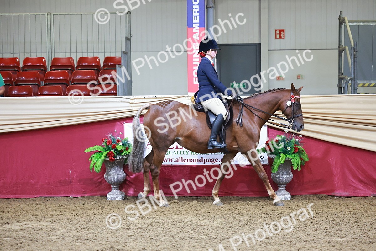 SBM_11786 - Class 102 - Equitation (Best Rider) Adult