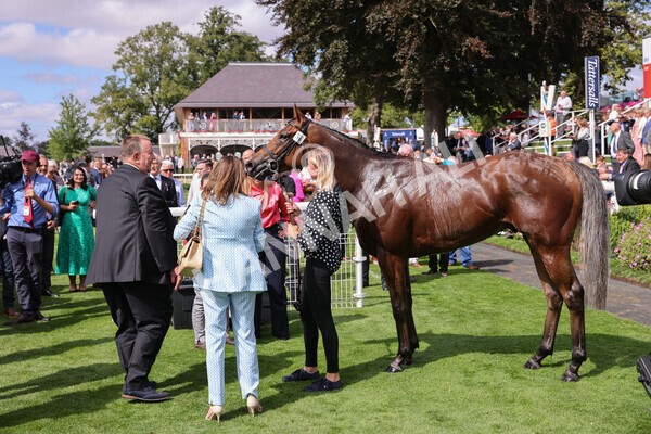 yr17082022r1-056 - Race 1 1.50pm Sky Bet & Symphony Group Stakes